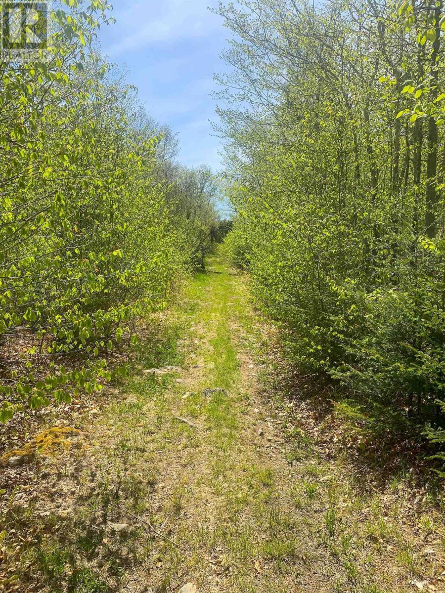 Lot 20 Highway 308, Morris Island, Nova Scotia  B0W 3M0 - Photo 10 - 202427450