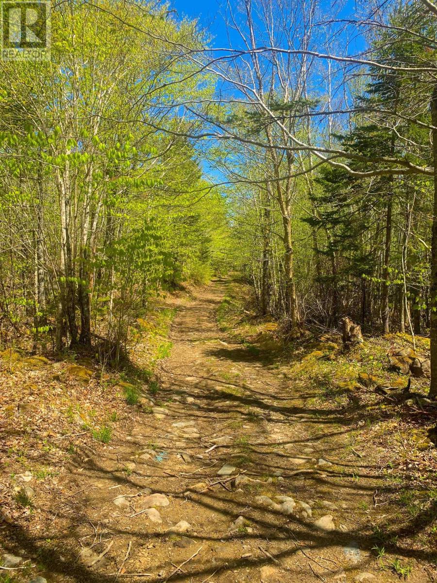 Lot 20 Highway 308, Morris Island, Nova Scotia  B0W 3M0 - Photo 11 - 202427450