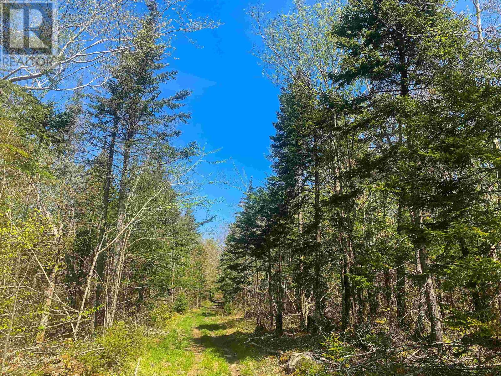 Lot 20 Highway 308, Morris Island, Nova Scotia  B0W 3M0 - Photo 5 - 202427450