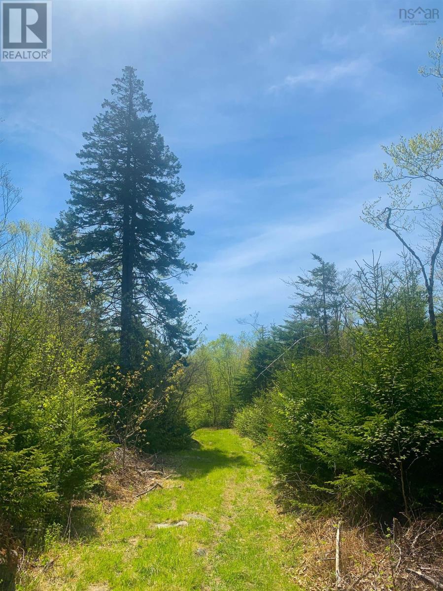 Lot 20 Highway 308, Morris Island, Nova Scotia  B0W 3M0 - Photo 7 - 202427450