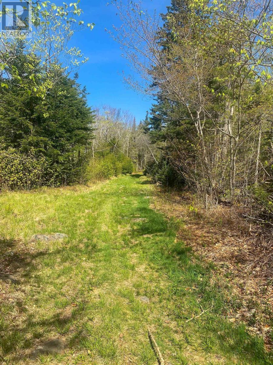 Lot 20 Highway 308, Morris Island, Nova Scotia  B0W 3M0 - Photo 9 - 202427450