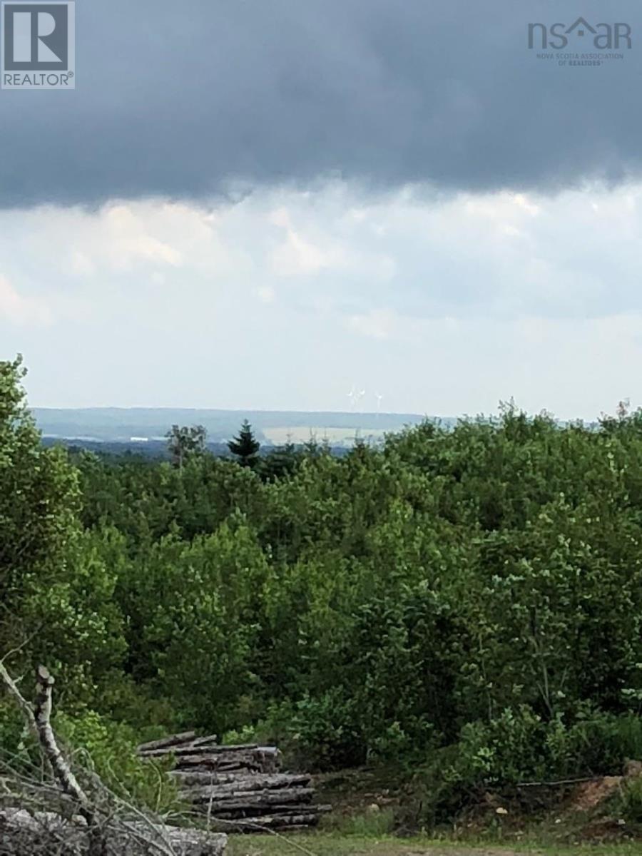 Lot Upper Belmont Road, Belmont, Nova Scotia  B0M 1G0 - Photo 1 - 202427490