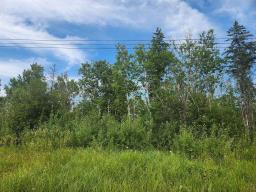 Property: 28 WHITETAIL Crescent, Gimli RM, Manitoba