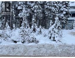 555 Monashee Road Silver Star, Silver Star, Ca