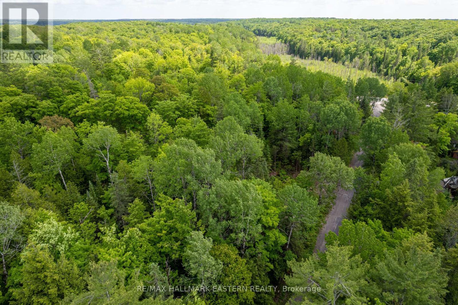 Pt Lt 6 Conc 10 Chandos, North Kawartha, Ontario  K0L 1A0 - Photo 11 - X11443035