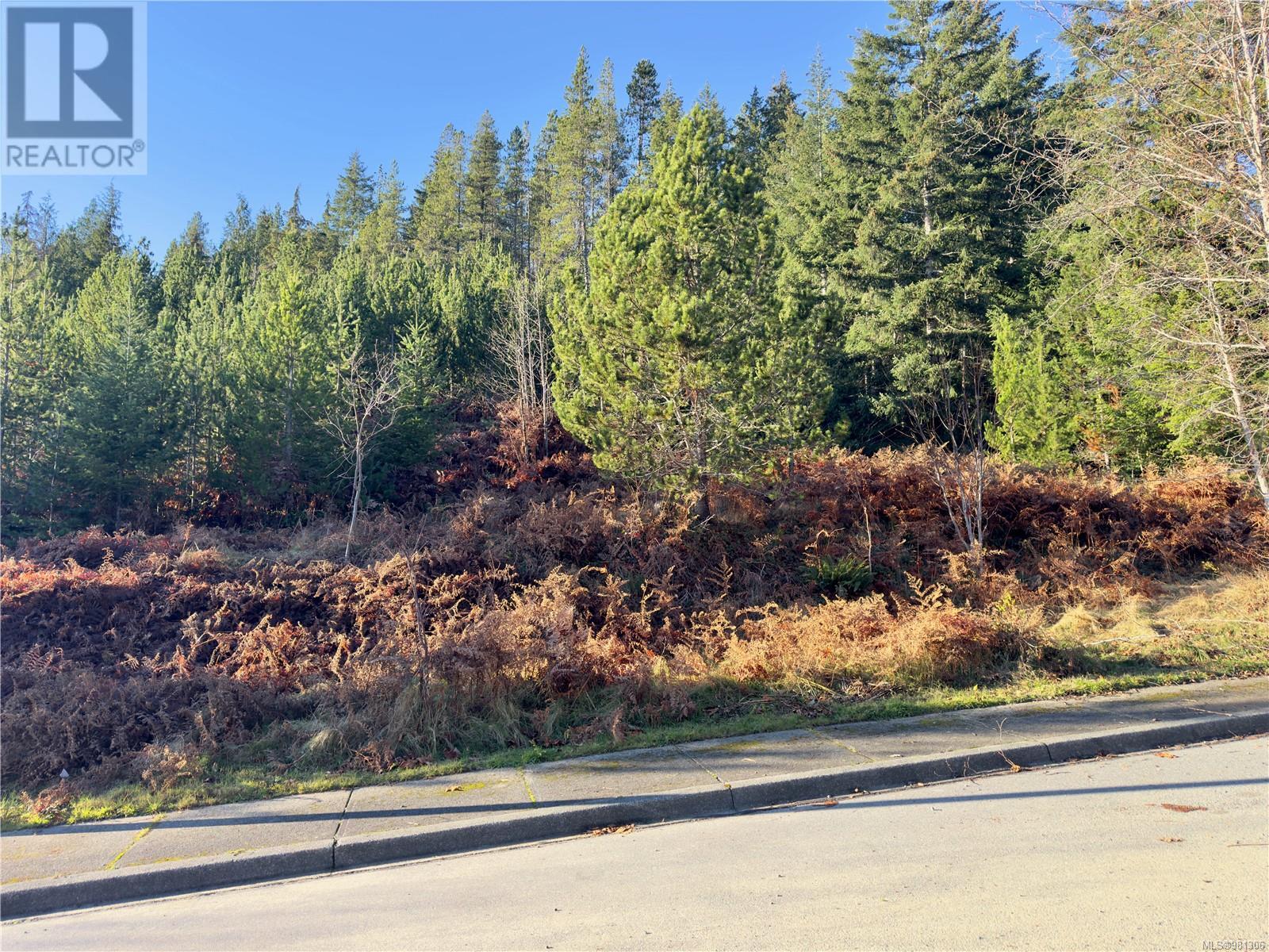 604 Scout Lake Rd, Gold River, British Columbia  V0P 1G0 - Photo 1 - 981306