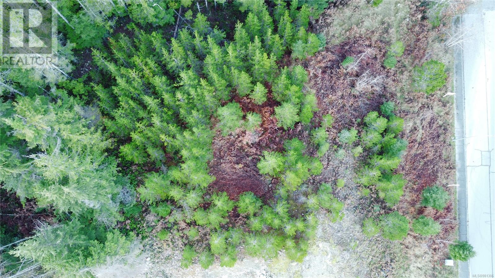 604 Scout Lake Rd, Gold River, British Columbia  V0P 1G0 - Photo 3 - 981306
