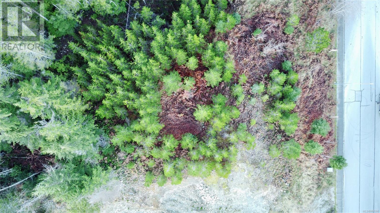 604 Scout Lake Rd, Gold River, British Columbia  V0P 1G0 - Photo 4 - 981306