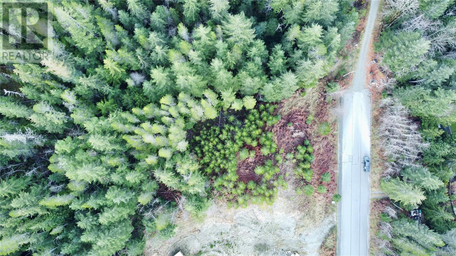 604 Scout Lake Rd, Gold River, British Columbia  V0P 1G0 - Photo 6 - 981306