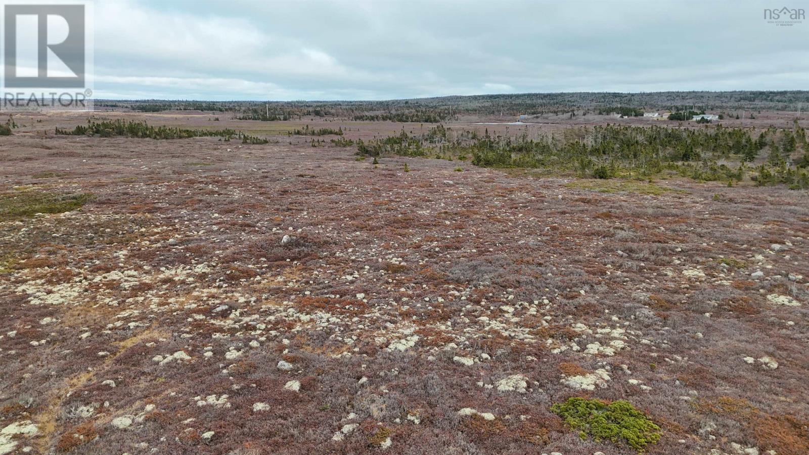 Popes Road, Charlesville, Nova Scotia  B0W 2E0 - Photo 14 - 202426698