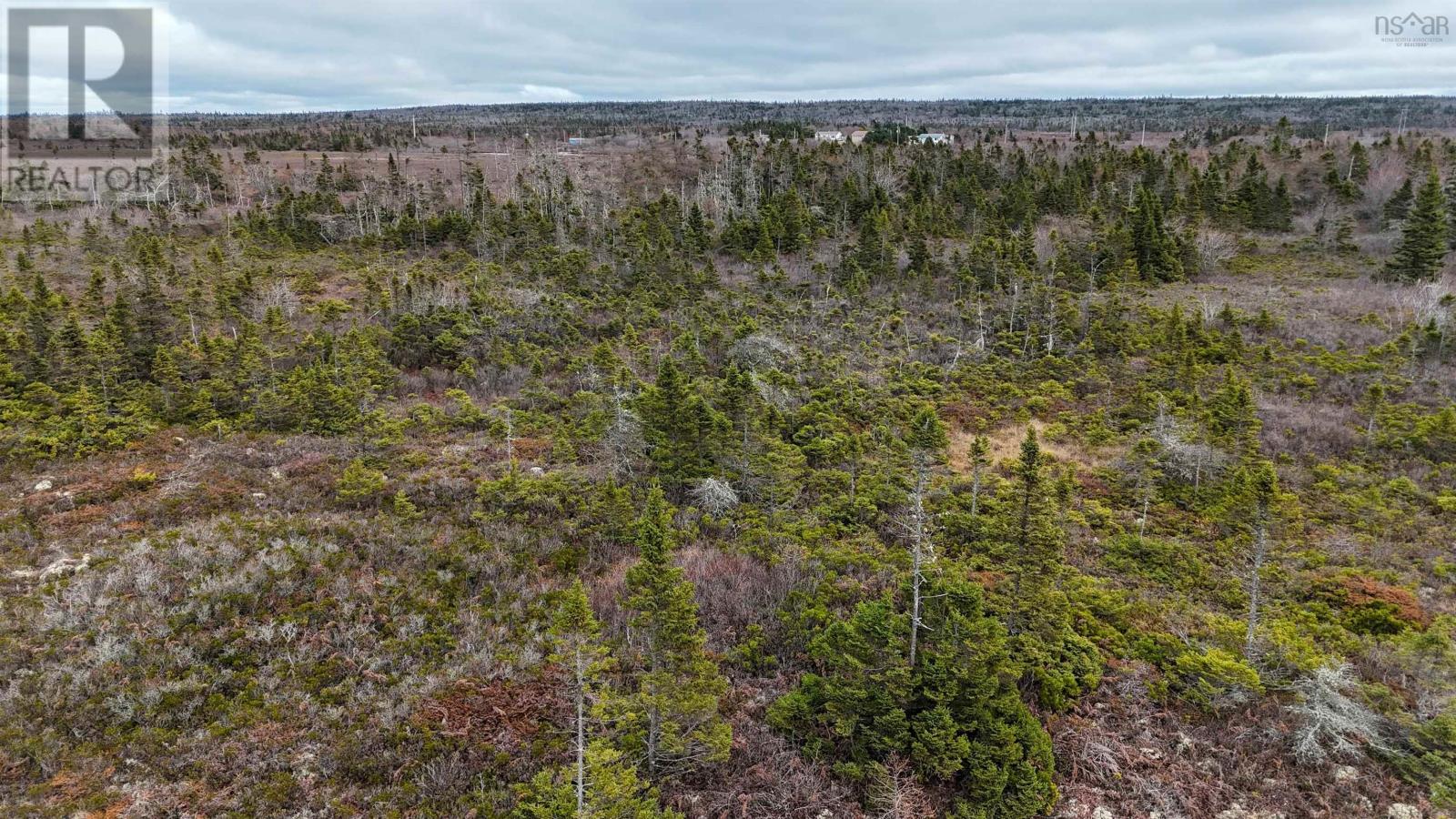 Popes Road, Charlesville, Nova Scotia  B0W 2E0 - Photo 18 - 202426698