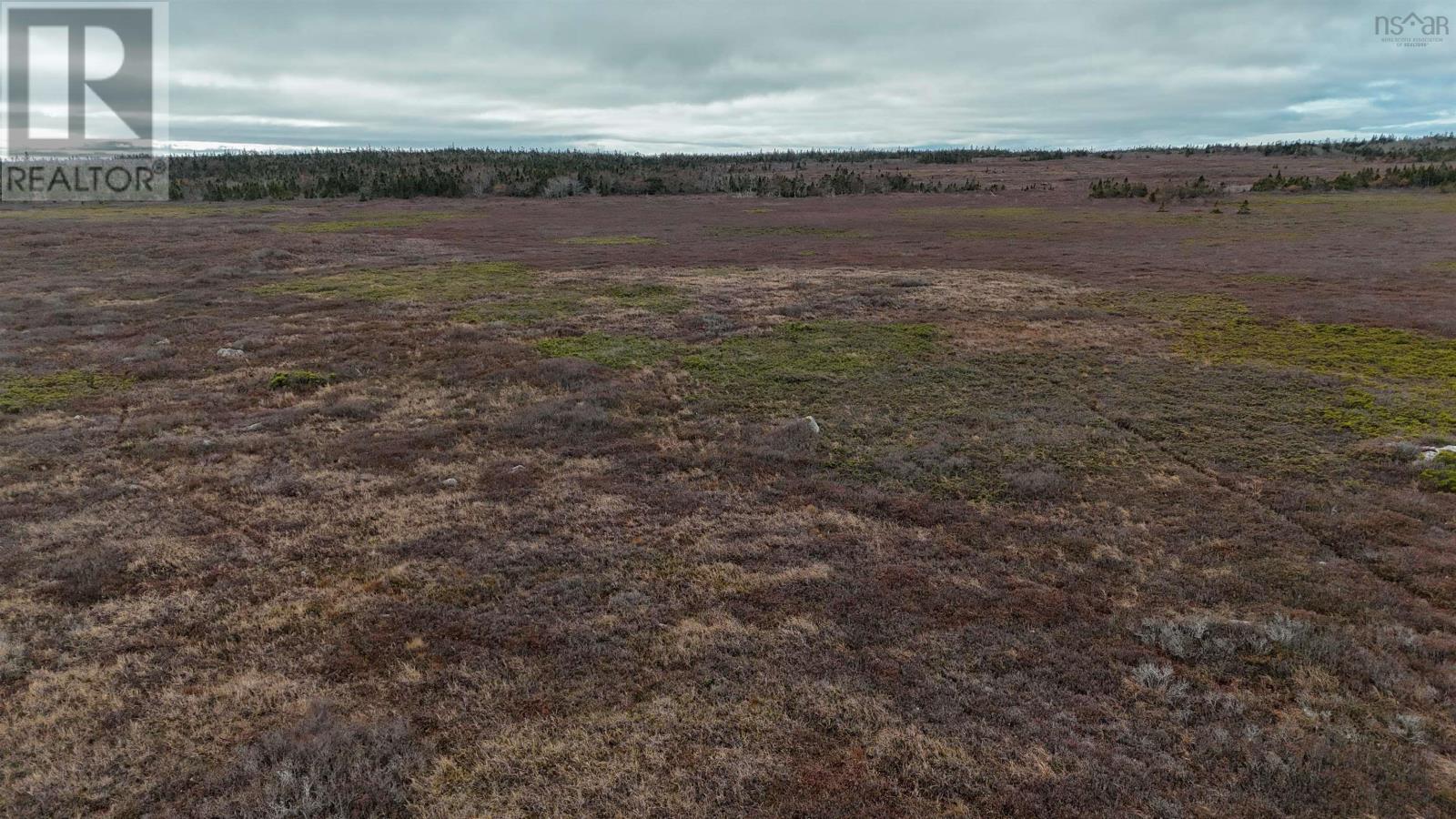 Popes Road, Charlesville, Nova Scotia  B0W 2E0 - Photo 33 - 202426698