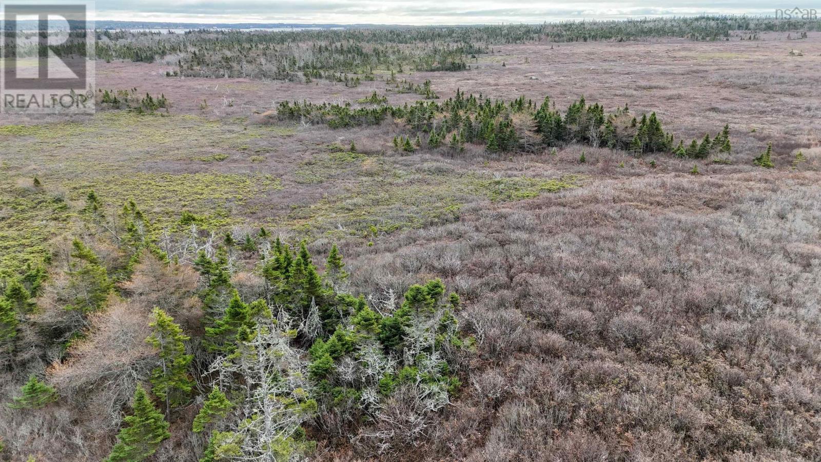 Popes Road, Charlesville, Nova Scotia  B0W 2E0 - Photo 7 - 202426698