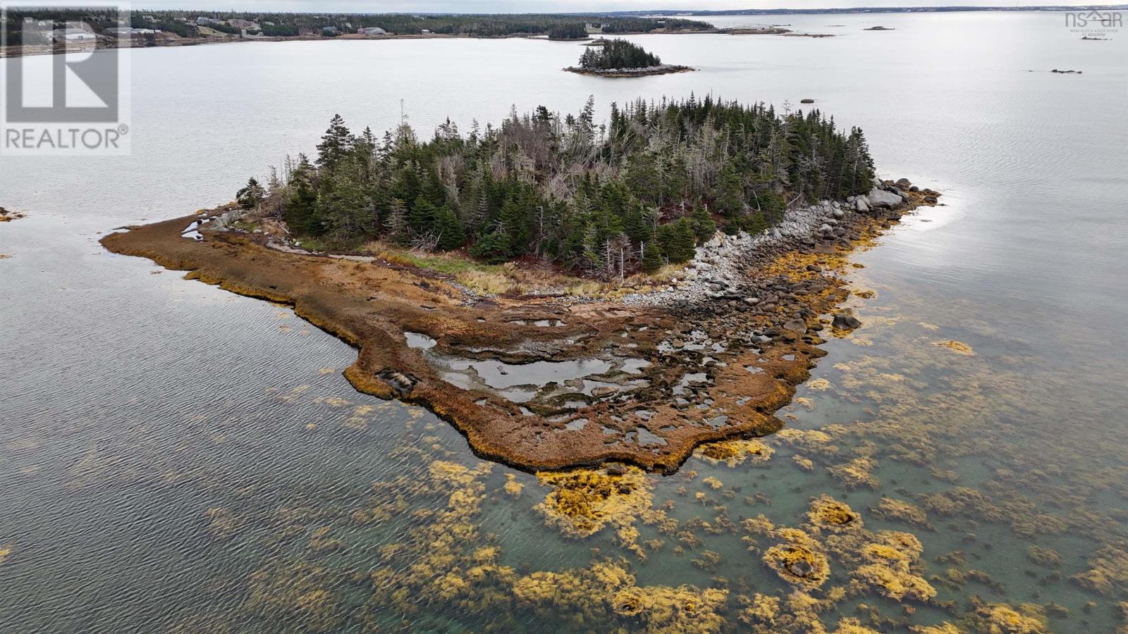 Little Militia Island, Bear Point, Nova Scotia  B0W 3B0 - Photo 13 - 202426699