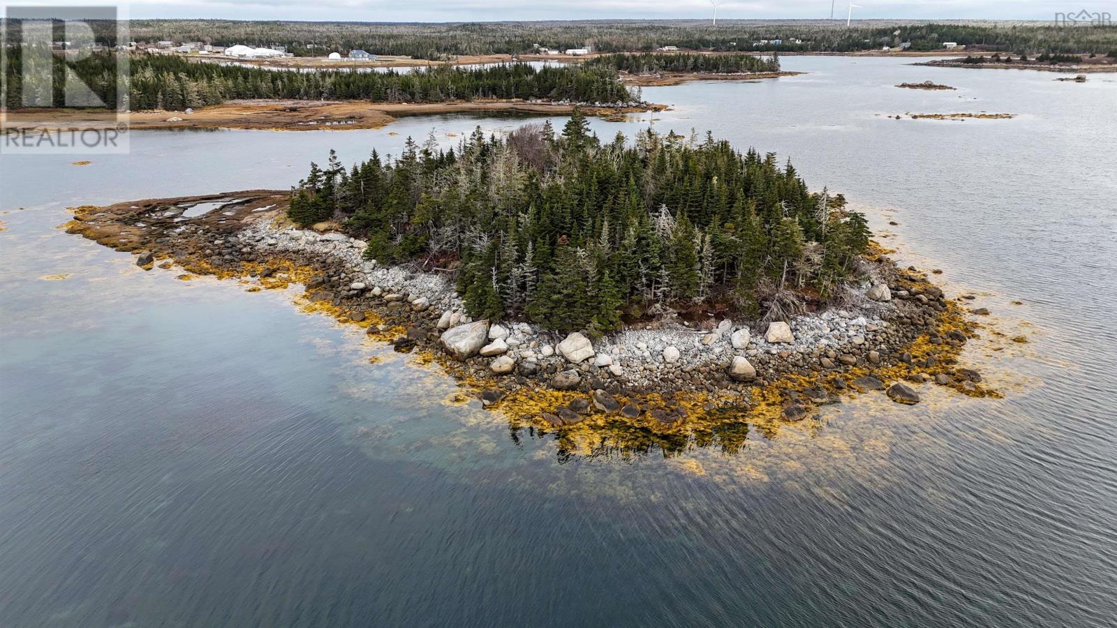 Little Militia Island, Bear Point, Nova Scotia  B0W 3B0 - Photo 15 - 202426699