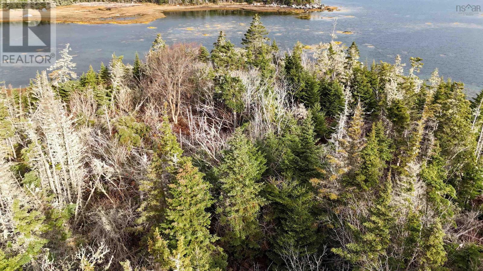 Little Militia Island, Bear Point, Nova Scotia  B0W 3B0 - Photo 4 - 202426699