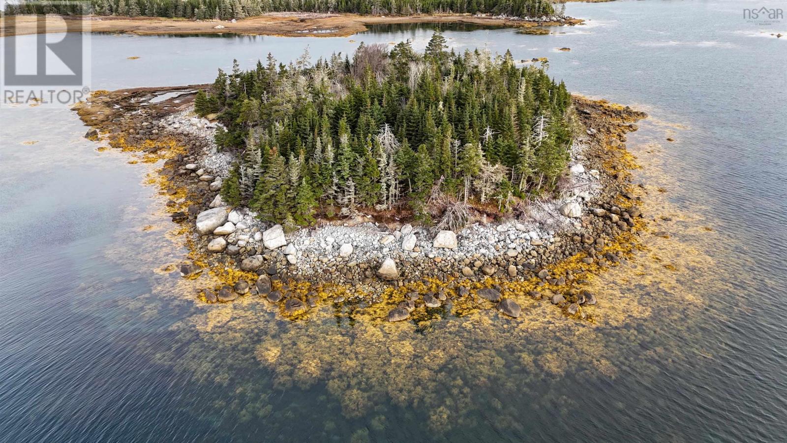 Little Militia Island, Bear Point, Nova Scotia  B0W 3B0 - Photo 7 - 202426699