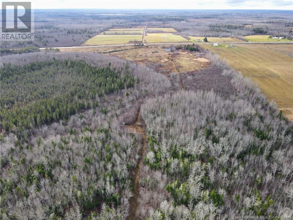 5376 Route 15, Shemogue, New Brunswick  E4N 2P5 - Photo 22 - NB109847