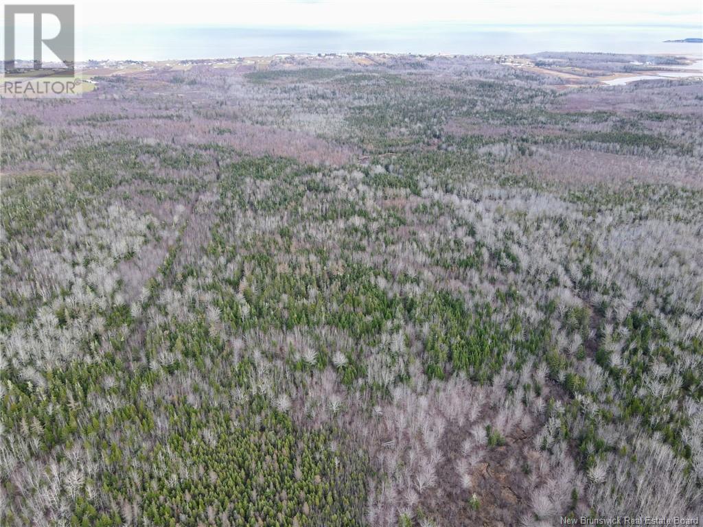 5376 Route 15, Shemogue, New Brunswick  E4N 2P5 - Photo 20 - NB109847