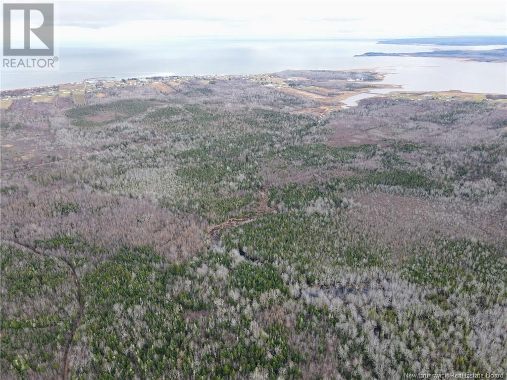 5376 Route 15, Shemogue, New Brunswick  E4N 2P5 - Photo 15 - NB109847
