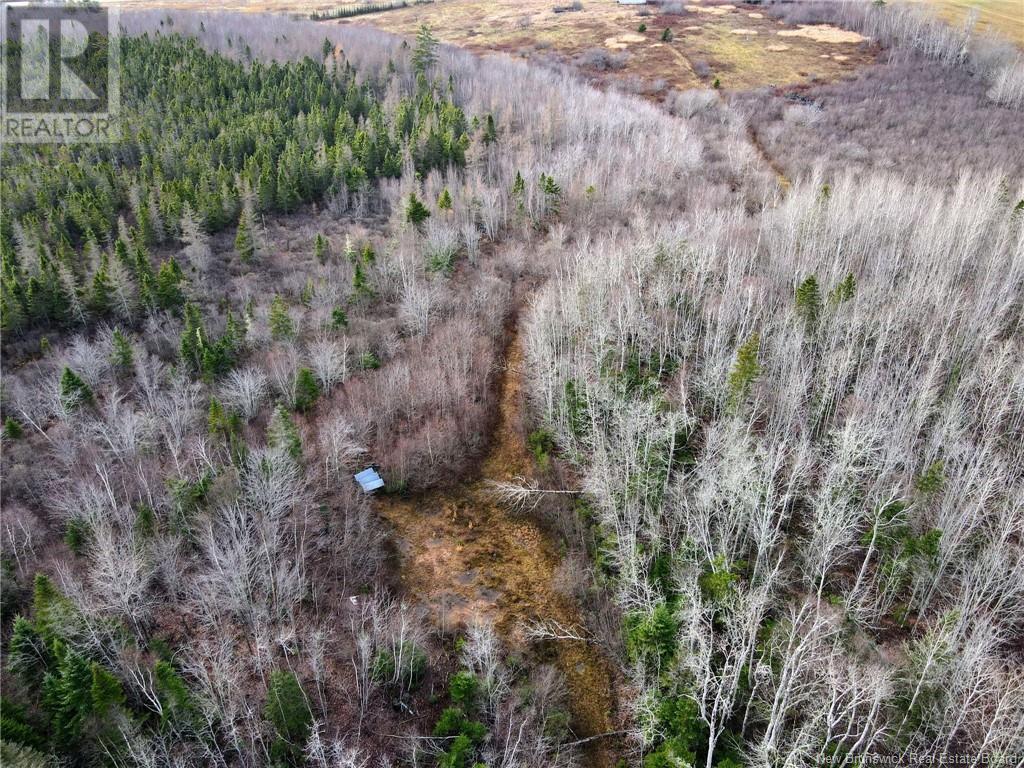 5376 Route 15, Shemogue, New Brunswick  E4N 2P5 - Photo 23 - NB109847