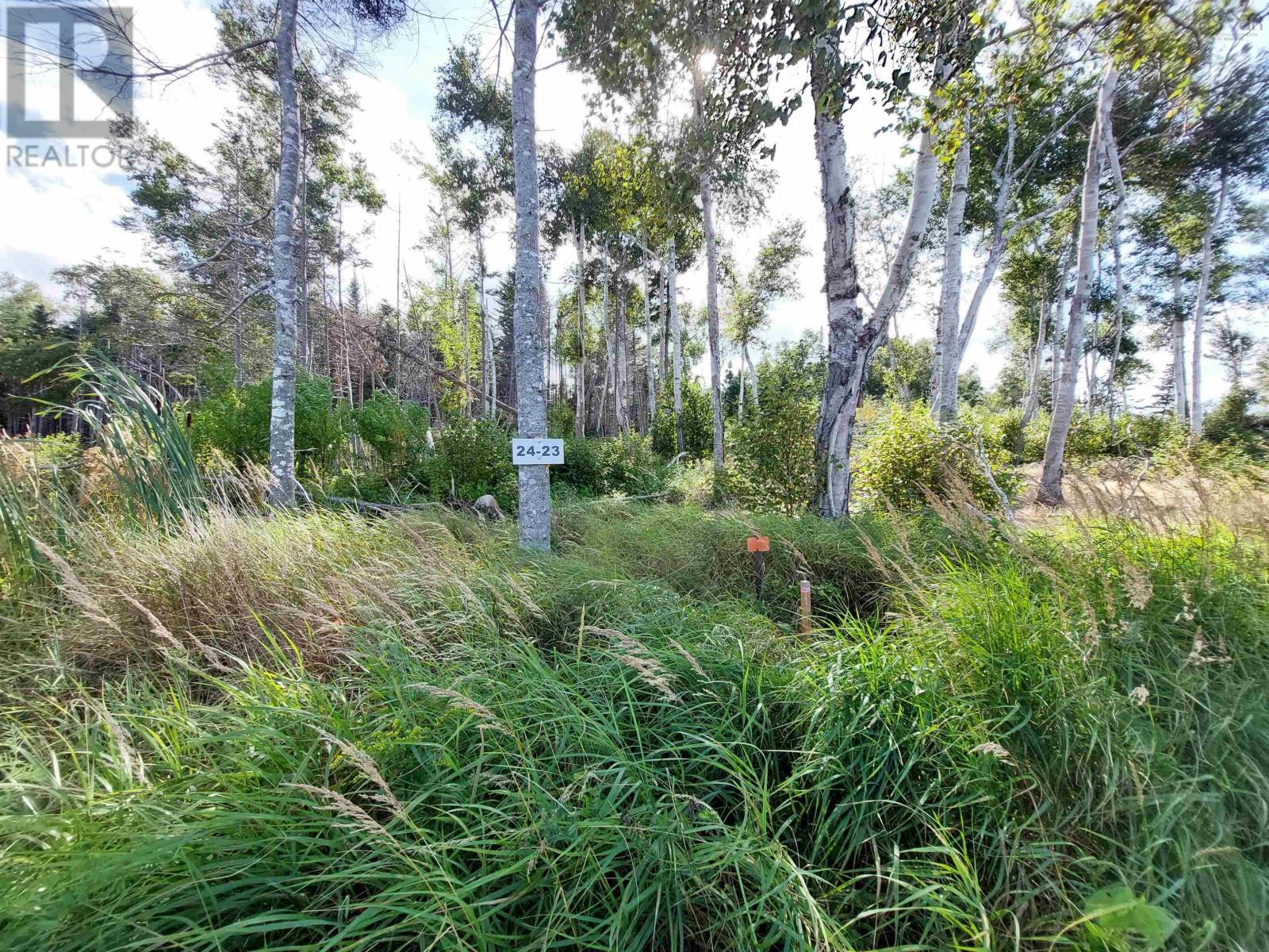 Lot 23 Sky Way, Big Harbour, Nova Scotia  B0E 2Y0 - Photo 8 - 202427528