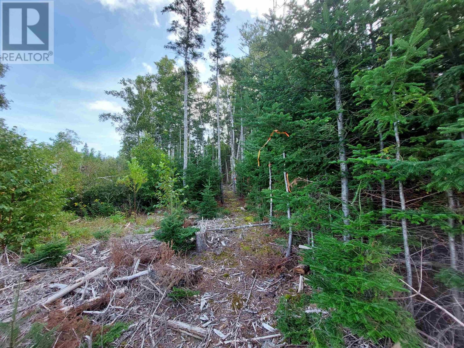 Lot 23 Sky Way, Big Harbour, Nova Scotia  B0E 2Y0 - Photo 9 - 202427528