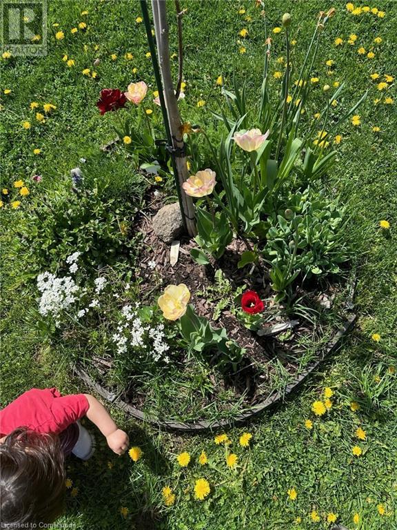 533b Rosemeadow Crescent, Waterloo, Ontario  N2T 2A1 - Photo 31 - 40681198