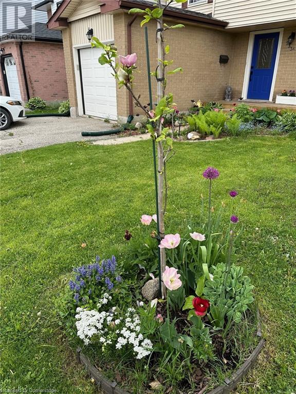 533b Rosemeadow Crescent, Waterloo, Ontario  N2T 2A1 - Photo 32 - 40681198