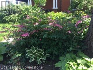 2920 Powerline Road West Road W, Ancaster, Ontario  L0R 1T0 - Photo 48 - 40681240