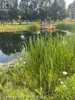 2920 Powerline Road West Road W, Ancaster, Ontario  L0R 1T0 - Photo 50 - 40681240