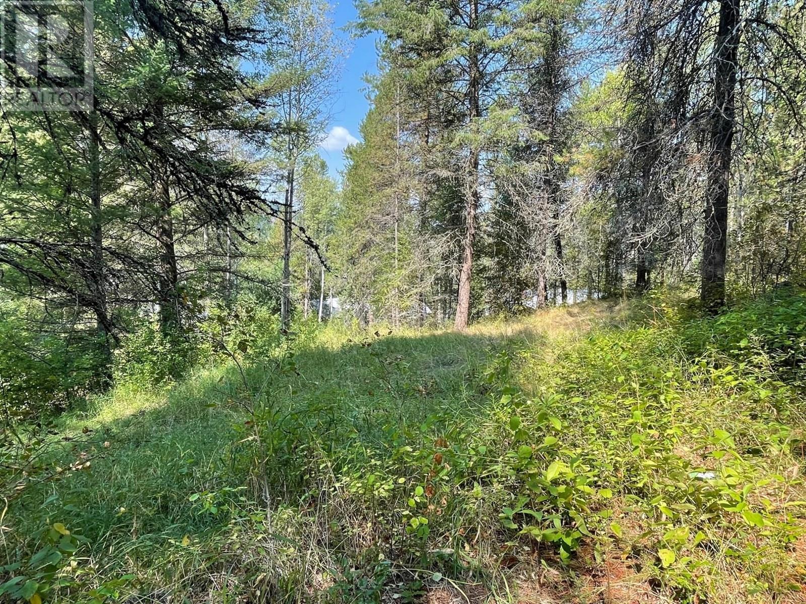 550 Strathmore Avenue, Greenwood, British Columbia V0H 1J0 - Photo 19 - 2477779