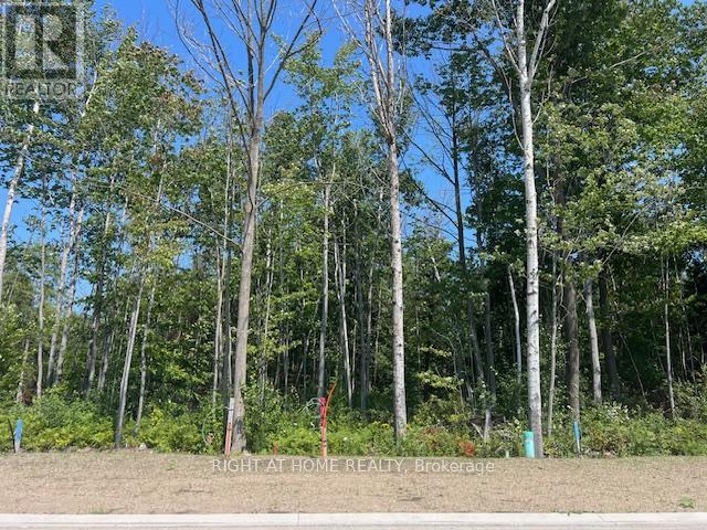 Property at LOT 77 MAPLESIDE DRIVE image