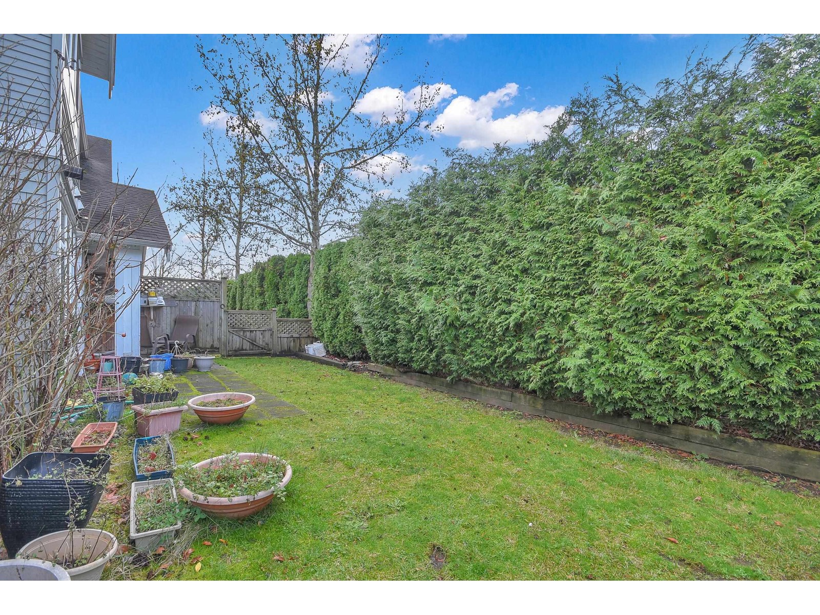 15 12128 68 Avenue, Surrey, British Columbia  V3W 1M3 - Photo 8 - R2946241