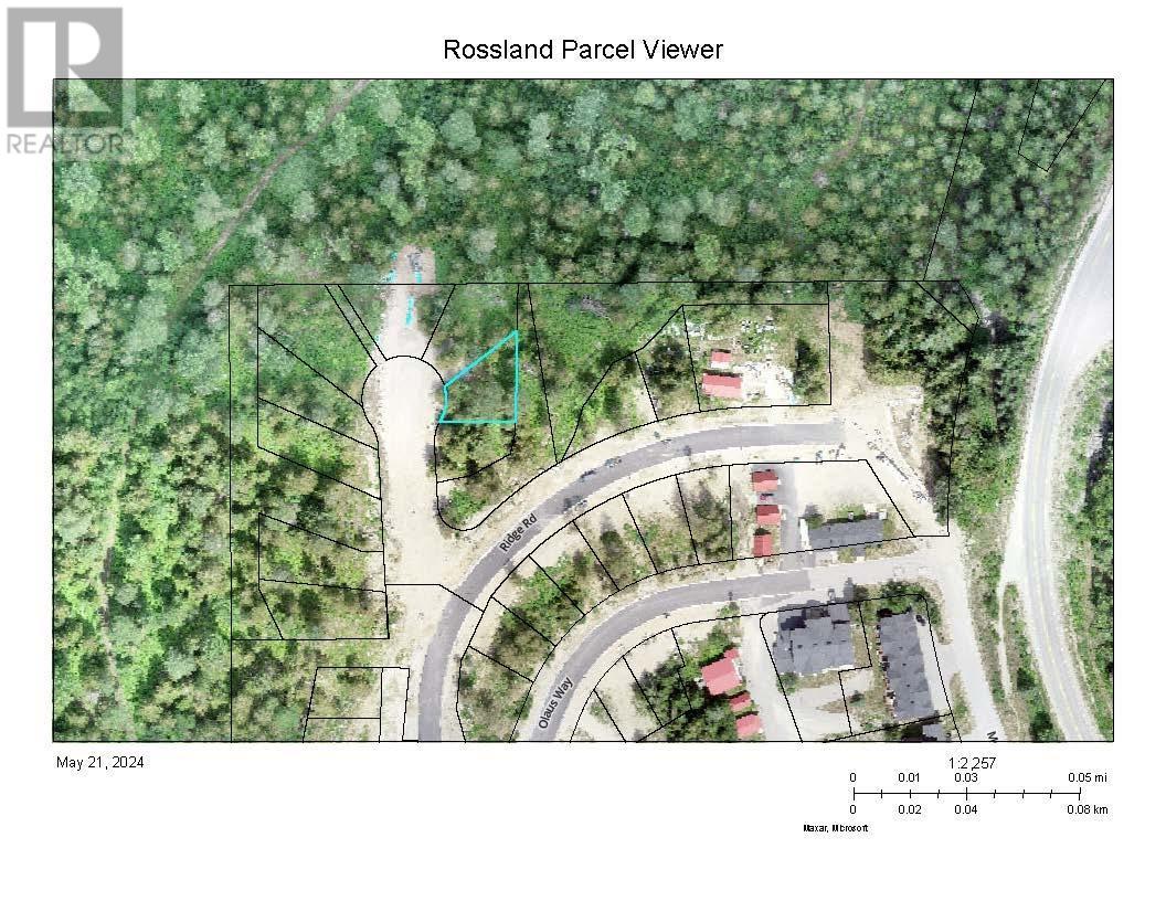 106 TOPPING Terrace Rossland