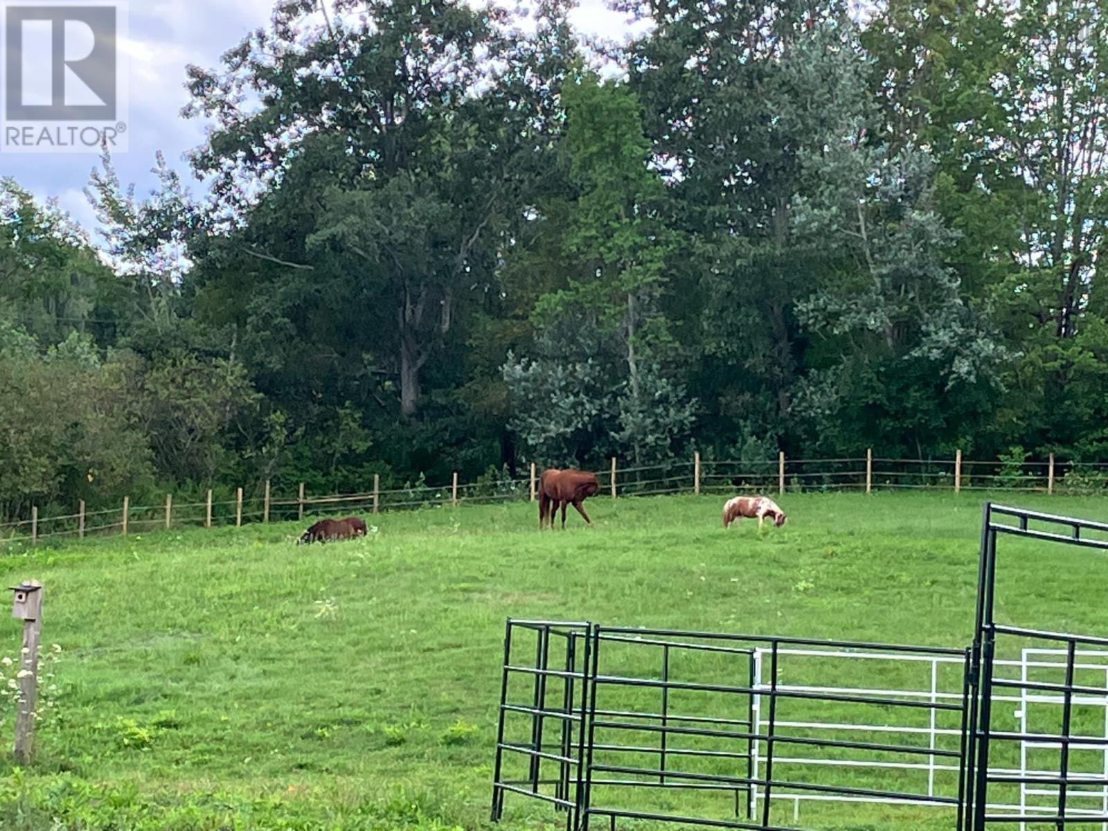 5211 Brooklyn Street, Grafton, Nova Scotia  B0P 1E0 - Photo 11 - 202427602