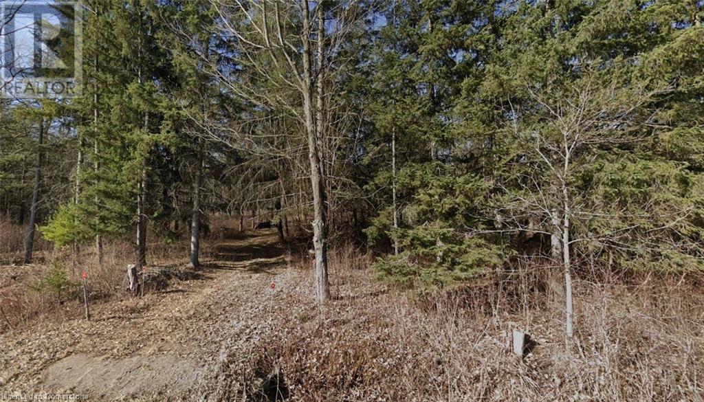 Pt Lt H Shellard Road, Cambridge, Ontario  N1R 5S7 - Photo 5 - 40682451