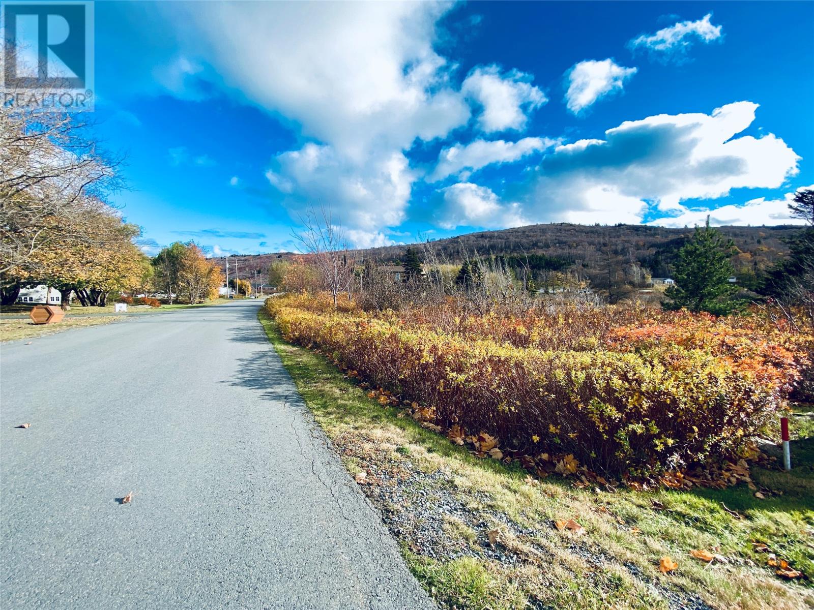 86 Riverdale Crescent, Salmon Cove, Newfoundland & Labrador  A0A 3S0 - Photo 3 - 1279072