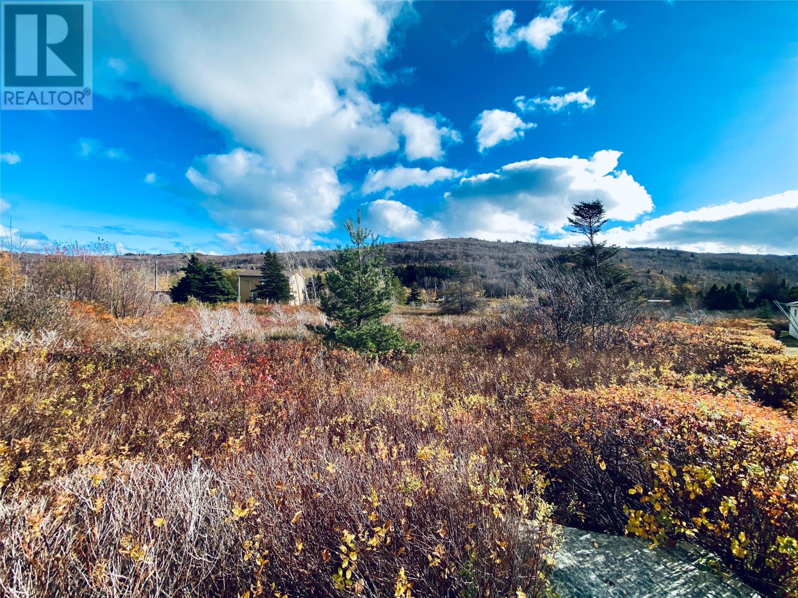 86 Riverdale Crescent, Salmon Cove, Newfoundland & Labrador  A0A 3S0 - Photo 6 - 1279072