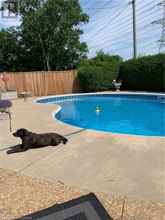 93 Willowridge Road, Etobicoke, Ontario  M9R 3Z5 - Photo 27 - 40672895