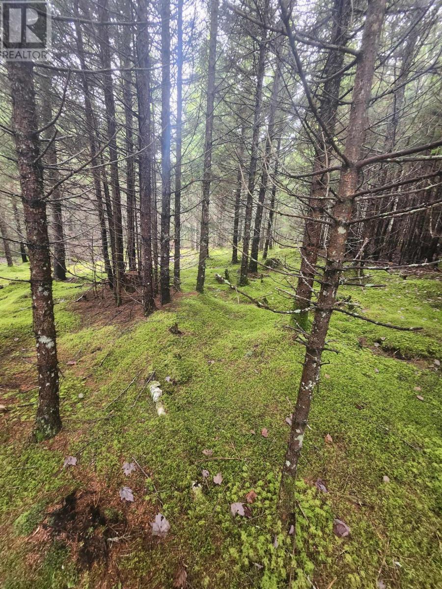 231 Heritage Way, East Uniacke, Nova Scotia  B0N 1Z0 - Photo 9 - 202427624