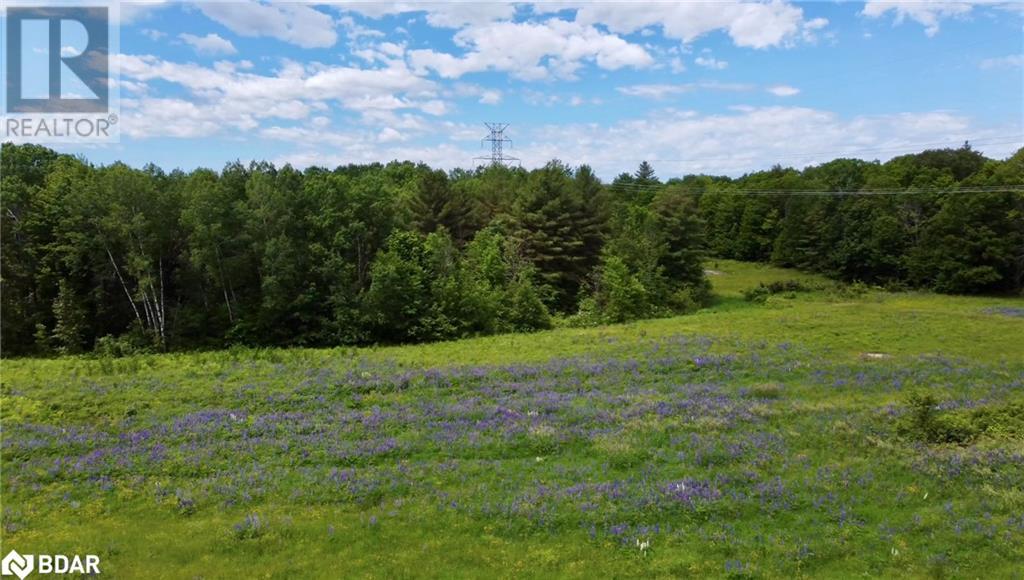 3146 Wasdell Falls Road, Washago, Ontario  L0K 2B0 - Photo 50 - 40682484