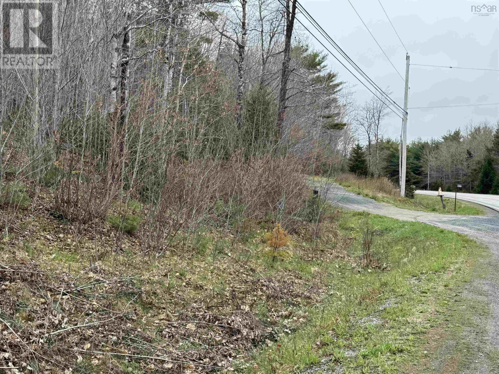 Lot 5 Highway 10, New Germany, Nova Scotia  B0R 1E0 - Photo 1 - 202410051