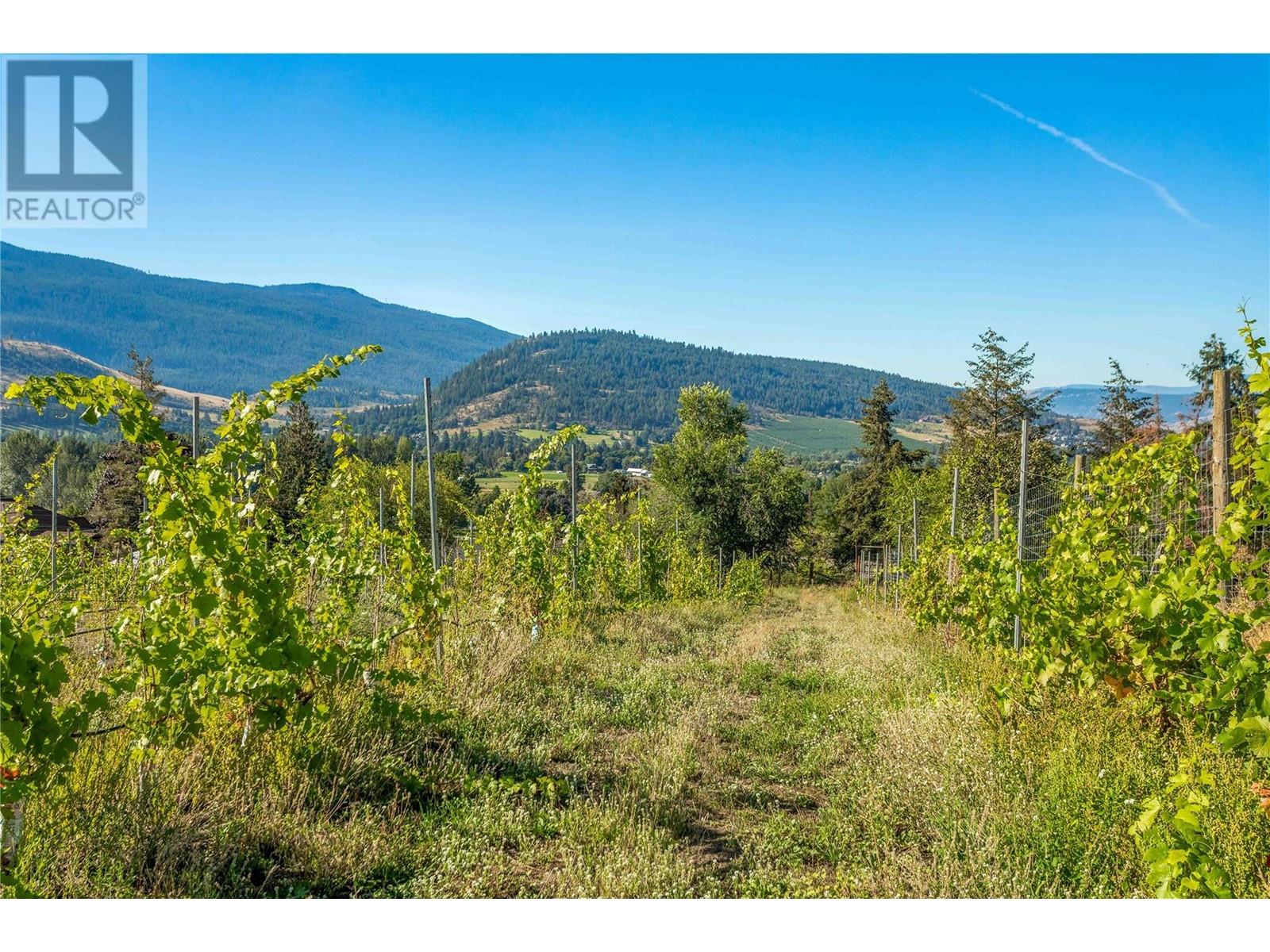 9269 Highway 6, Coldstream, British Columbia  V1B 3B5 - Photo 5 - 10329532