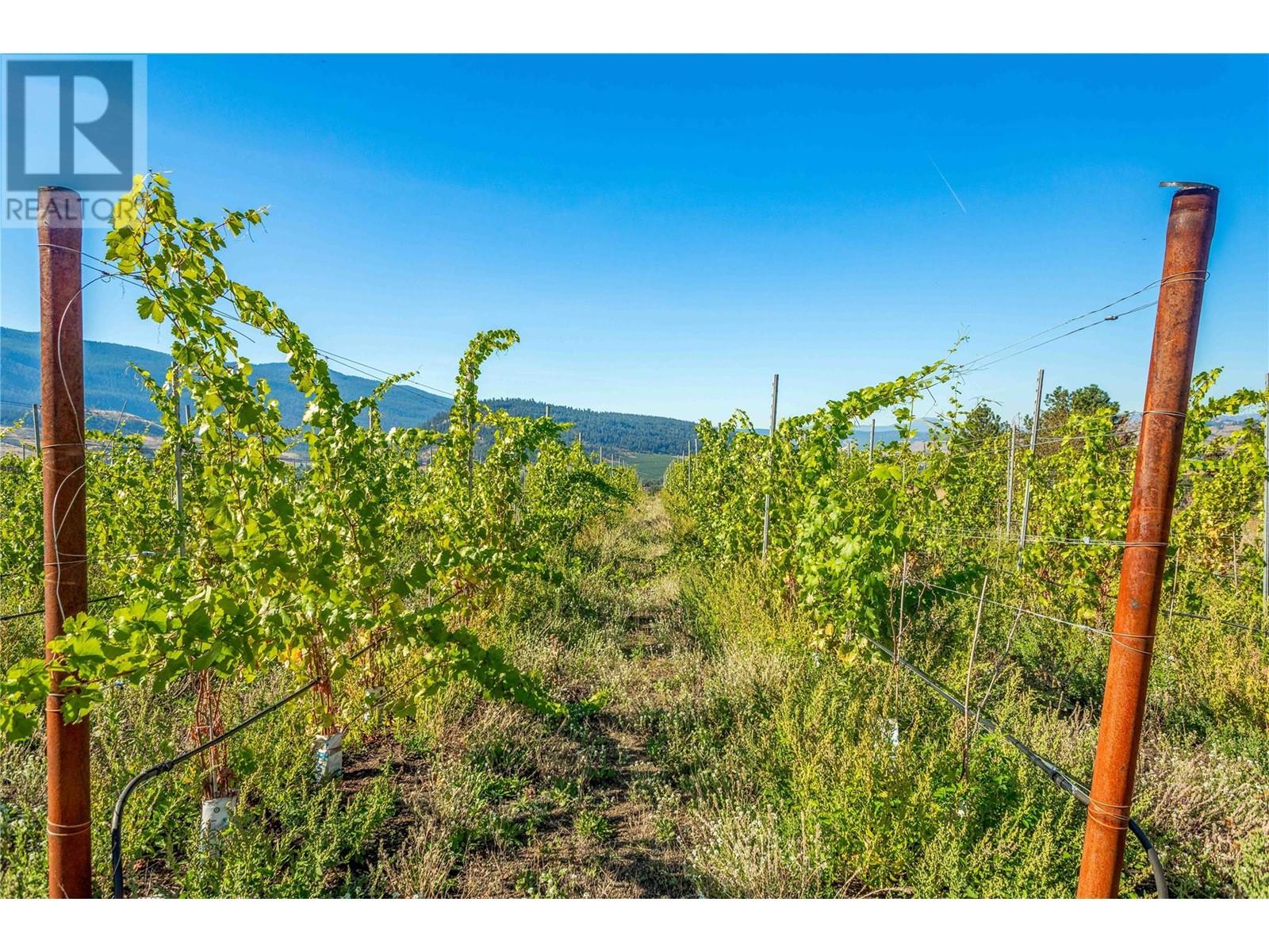 9269 Highway 6, Coldstream, British Columbia  V1B 3B5 - Photo 3 - 10329532