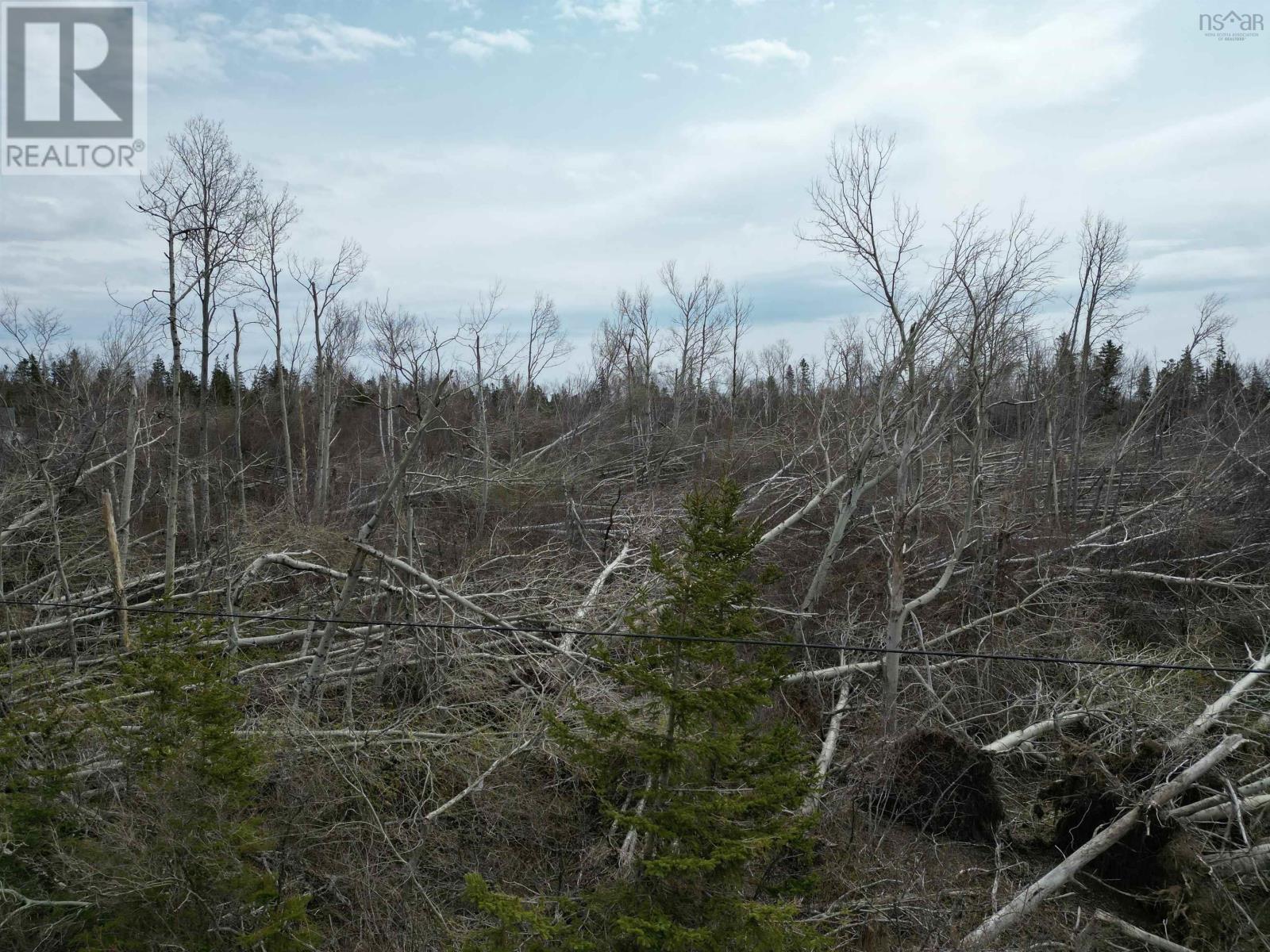 Lot Shore Road, Lower Barneys River, Nova Scotia  B0K 1G0 - Photo 2 - 202410025