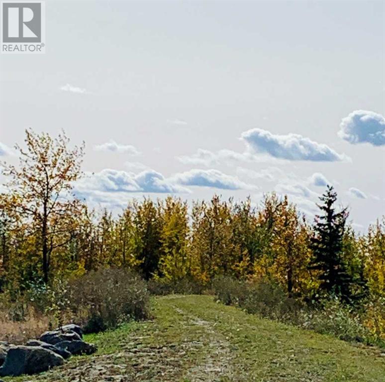 39, 41019 Range Road 11, Rural Lacombe County, Alberta  T0C 0J1 - Photo 11 - A2180317