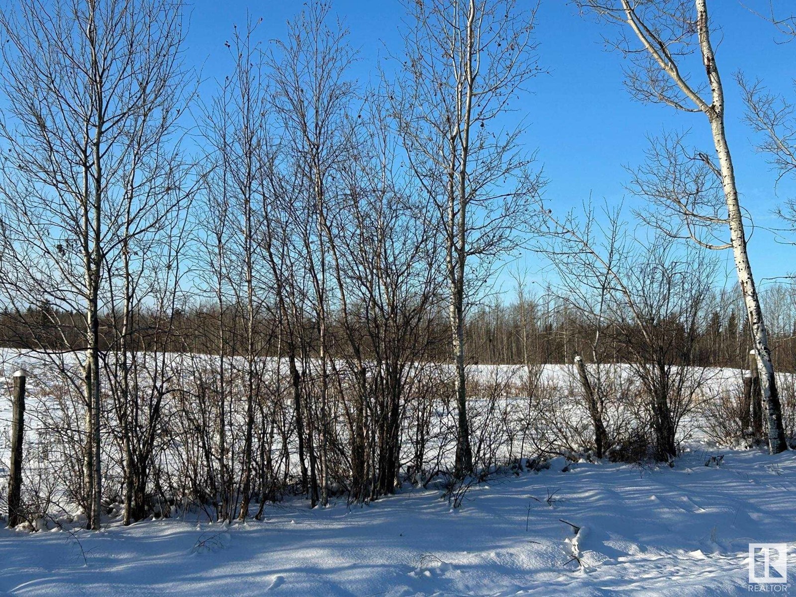 Rr 225 Twp 614, Rural Thorhild County, Alberta  T0A 3J0 - Photo 3 - E4415150