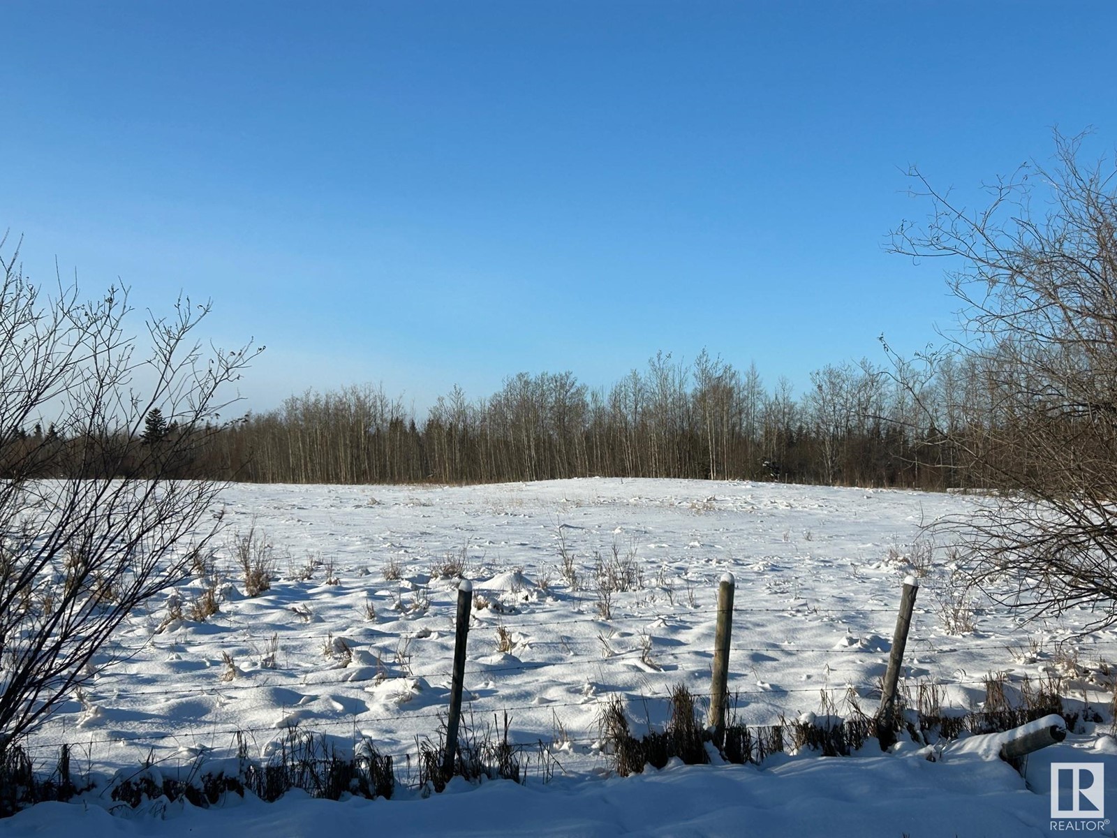 Rr 225 Twp 614, Rural Thorhild County, Alberta  T0A 3J0 - Photo 4 - E4415150