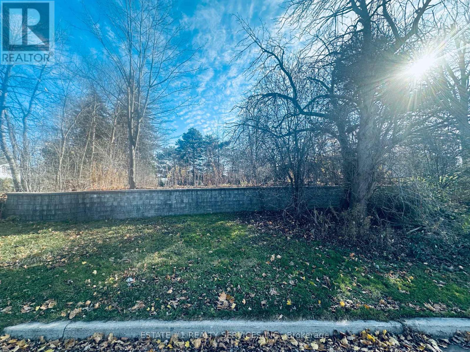 58 Parkview Place, Brampton, Ontario  L6W 2G2 - Photo 6 - W11824475